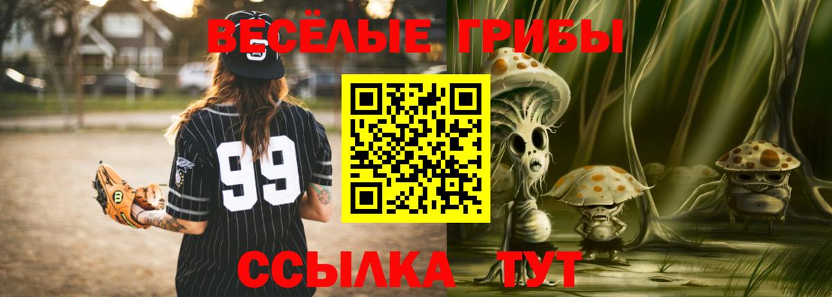 Хабаровск  Галлюциногенные грибы прущие грибы  Вход с VPN 